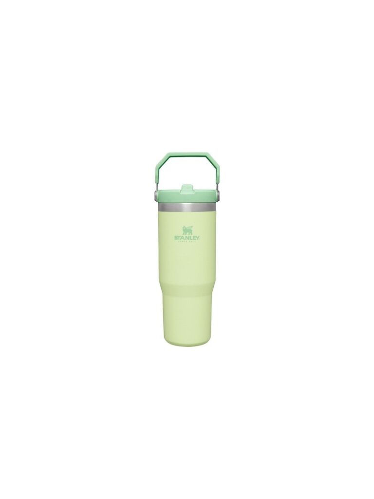 STANLEY THE ICEFLOW FLİP STRAW PİPETLİ TERMOS BARDAK 0,89 LT