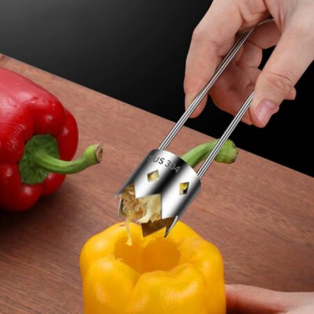 MEYVE SEBZE ÇEKİRDEK ÇIKARMA APARATI