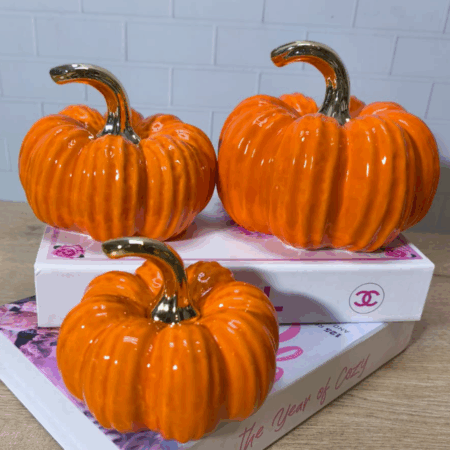 DEKORATİF 3LÜ KABAK SETİ